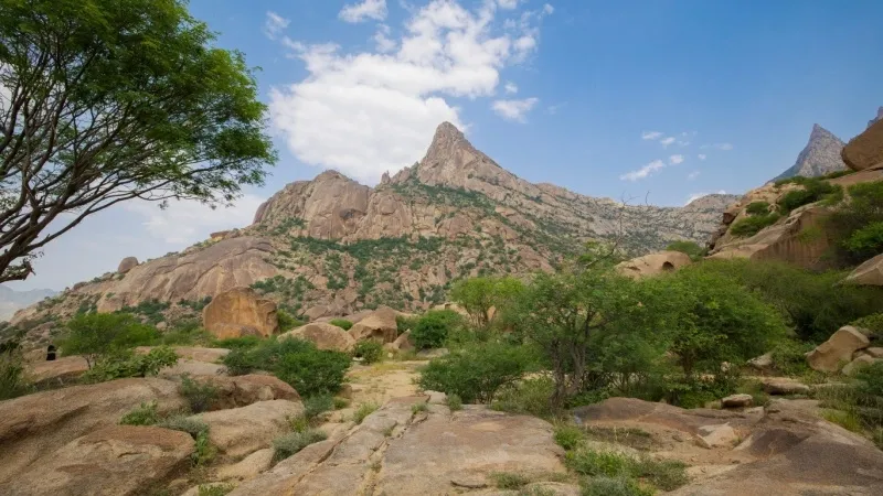 Hiking to Jabal Al-Wa'ara Summit