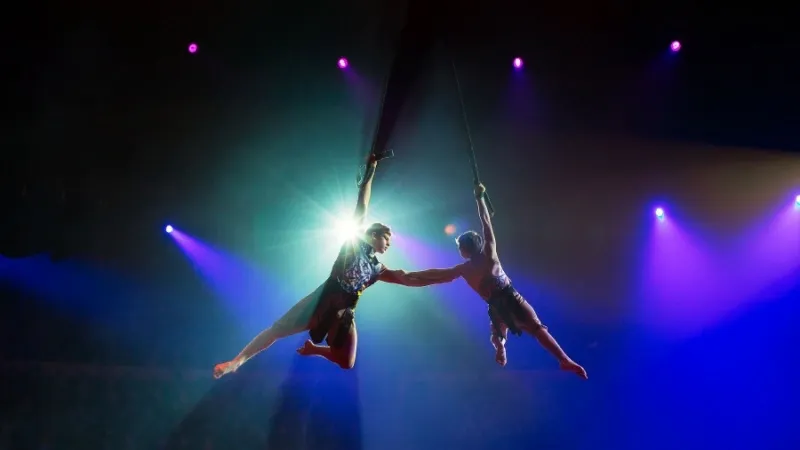 Mystère by Cirque du Soleil®