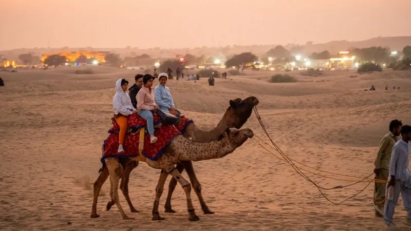 Camel Safari