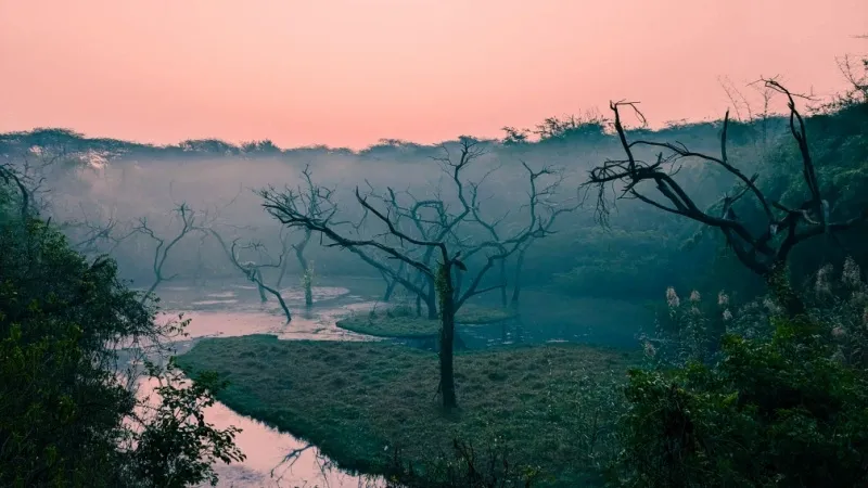 Sanjay Van