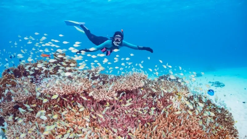 Enjoy Snorkeling at the Japanese Garden