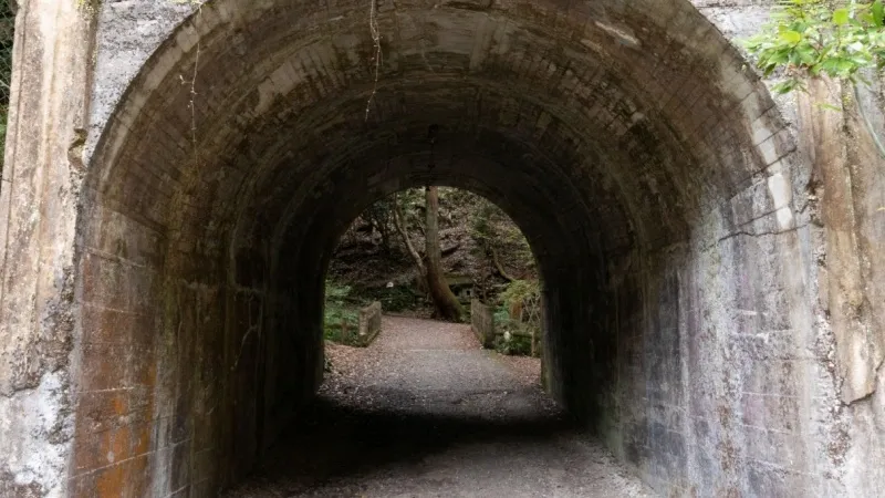 The Tunnel No