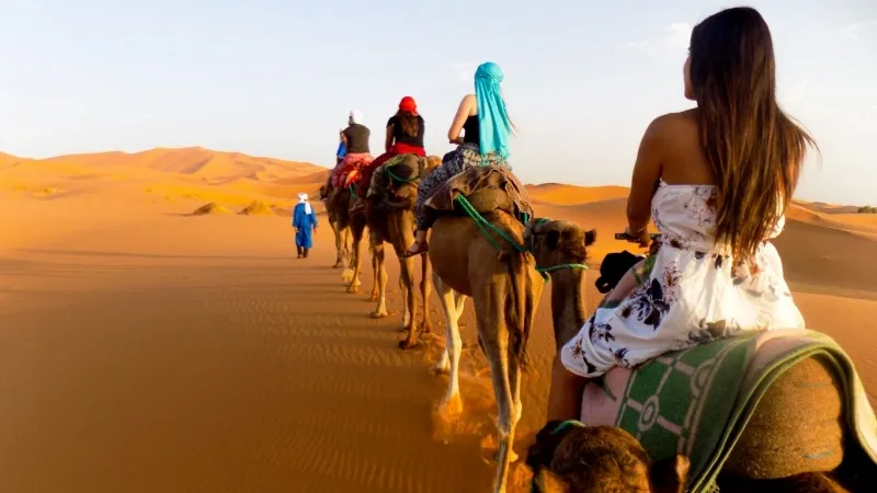 Go for Camel Safari