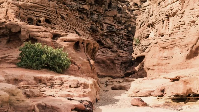 Marvel at the Stunning Colored Canyon in Dahab