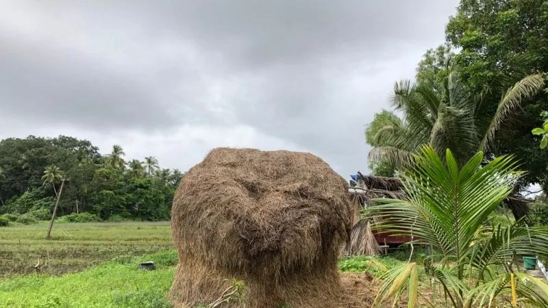 Saligao Village