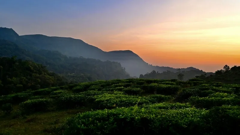 Thekkady