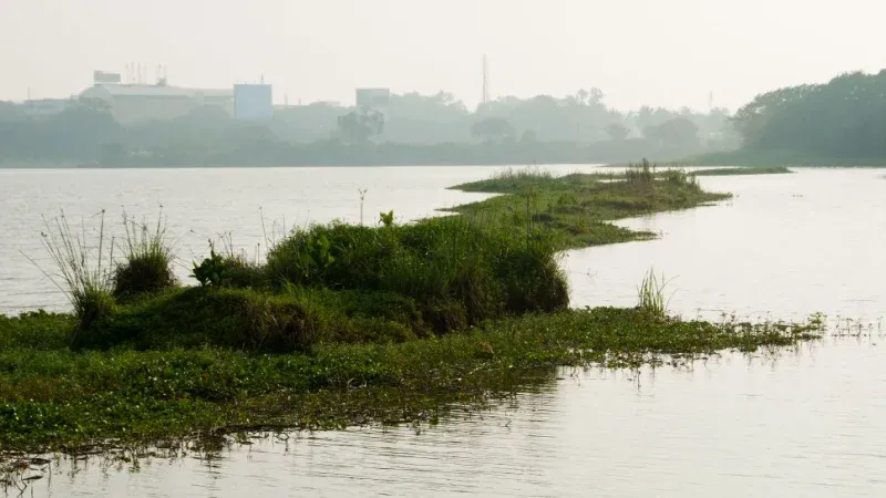 Hebbal Lake