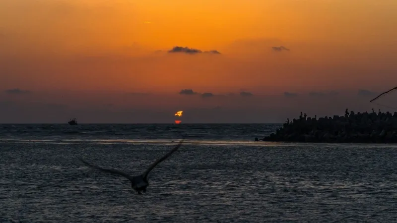 Munambam Beach