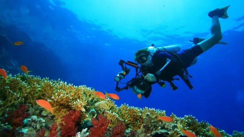 Dahab Divers