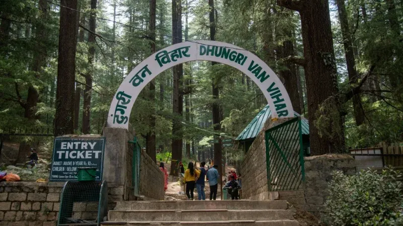 Dhungri Forest