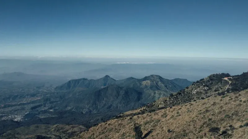 Taimara Valley