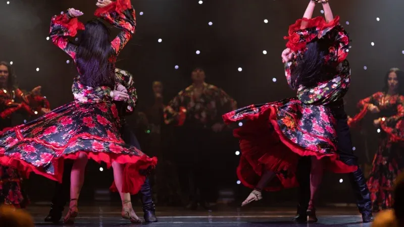 Watch a Flamenco Show