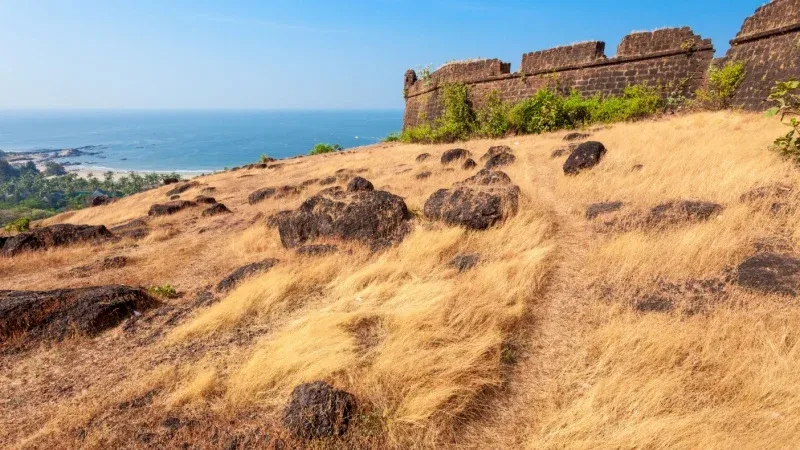 Chapora Fort