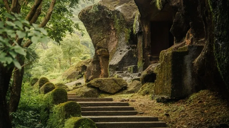 Sanjay Gandhi National Park, Mumbai