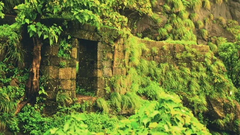 Karnala Fort, Navi Mumbai