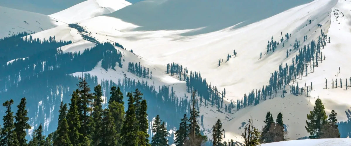 Top 10 Things to Do in Gulmarg 2024: Discover the Thrills of Kashmir’s Alpine Treasure