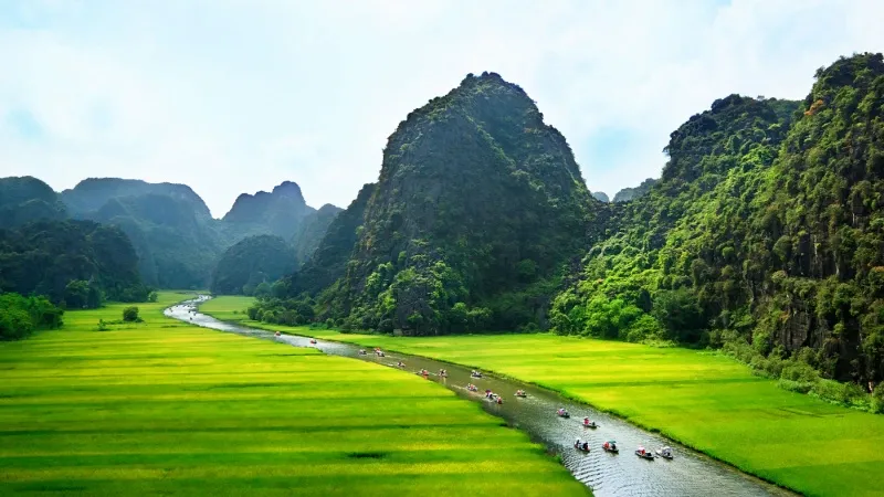 Sail Across the Ngong Dong River Amid the Lush Paddy Fields