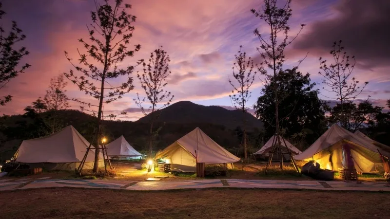 Luxury Camps