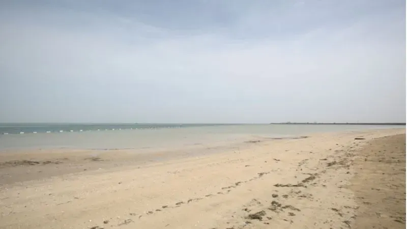 شاطئ المرفأ