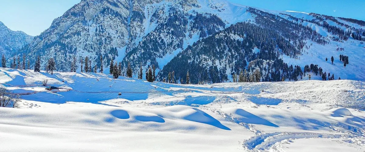 Places to Visit in Sonmarg: Explore its Natural Splendors to Encounter a Masterpiece