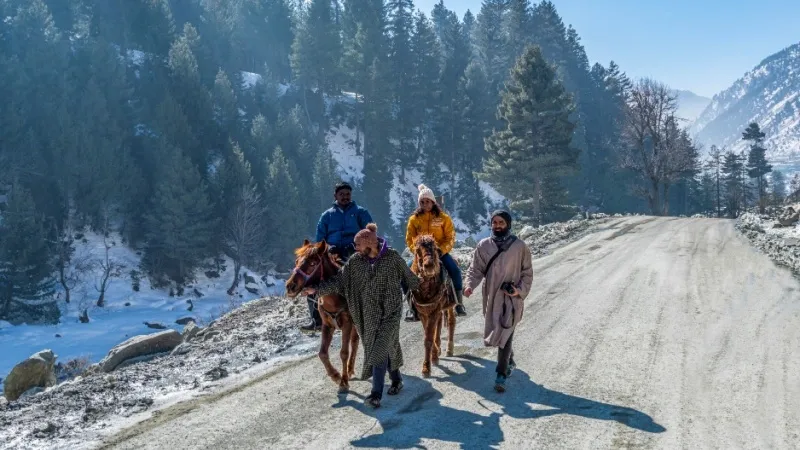 Things to Do in Sonmarg: Explore the Gateway to Himalayan Adventure