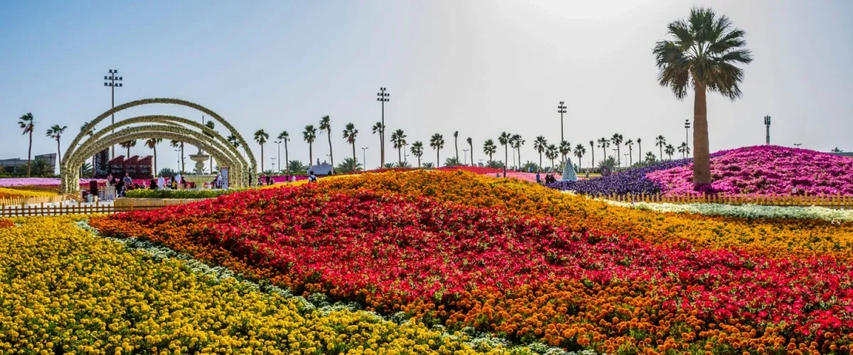 Top 8 Things to Do in Taif: Experience the ‘City of Roses’