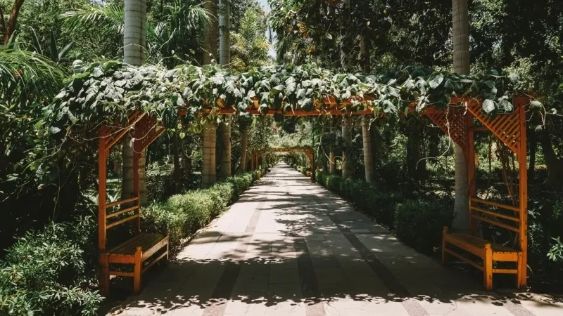 Aswan Botanical Garden