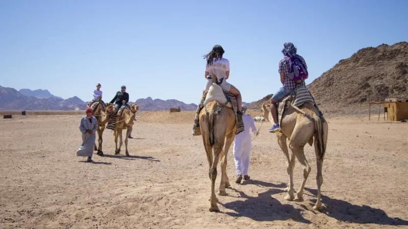 Journey into the Desert on a Camel Ride