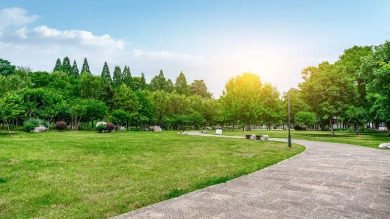 Relax in El-Mina Park