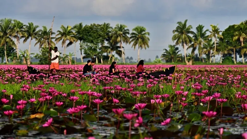 Kottayam