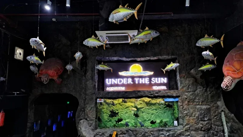 Under the Sun Aquarium