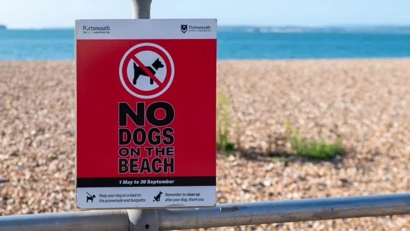 Beach regulations