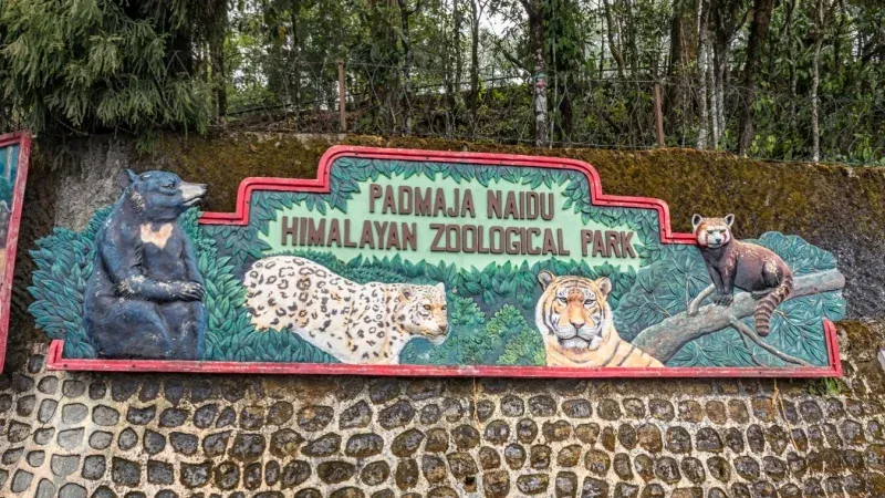 Padmaja Naidu Himalayan Zoological Park