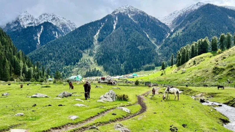 Pahalgam