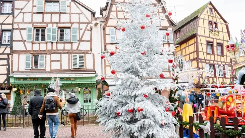 Colmar Christmas Market (Colmar, France)