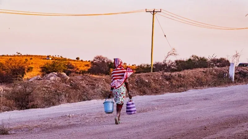 Health Advisories for Tanzania Safari