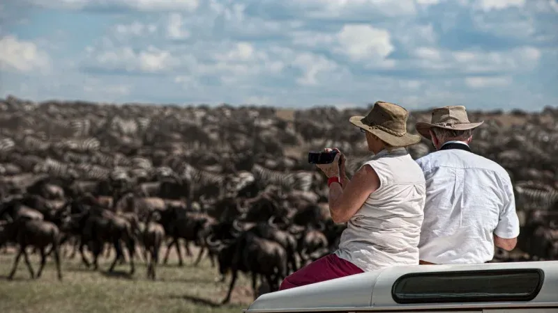 What Major Animals to Spot in Tanzania?