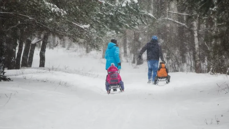 Indulge in Snowmobiling Adventure