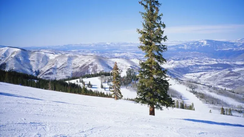 Aspen (Colorado, USA)