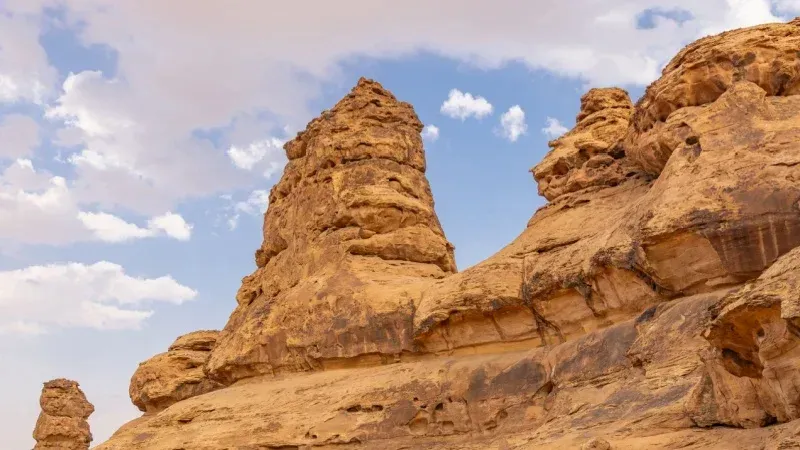 ما أهمية بطولة العلا لبولو الصحراء ٢٠٢٦؟