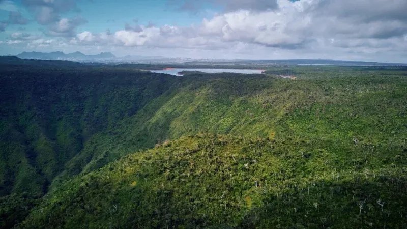 Black River Gorges National Park