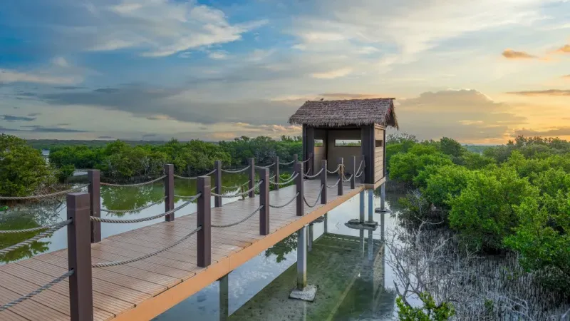 Al Khor Mangroves