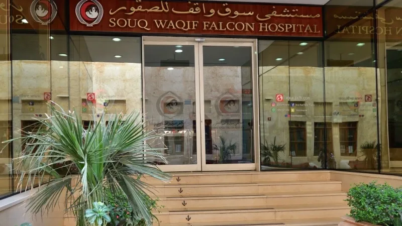 Falcon Hospital