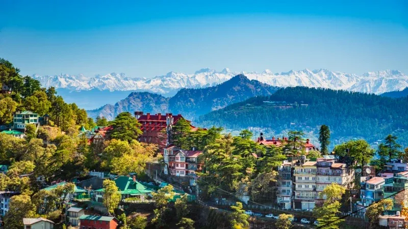 Shimla