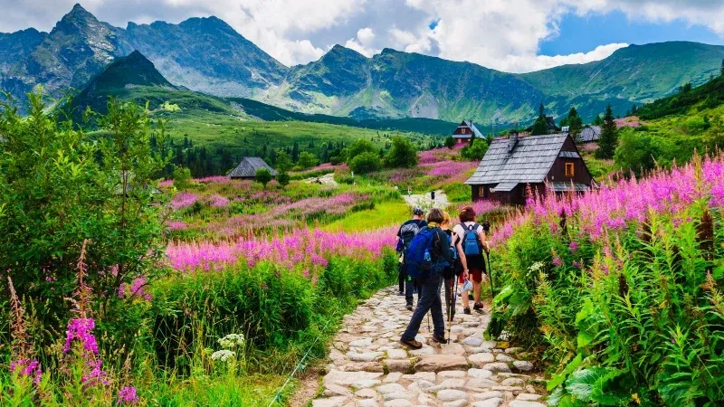 Valley of Flowers