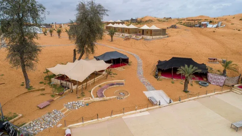 Bedouin Oasis Camping