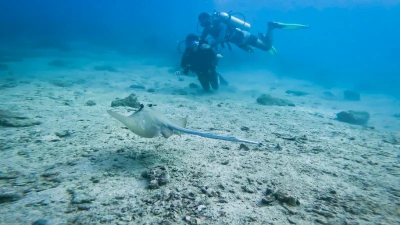 Scuba Diving at Havelock Island