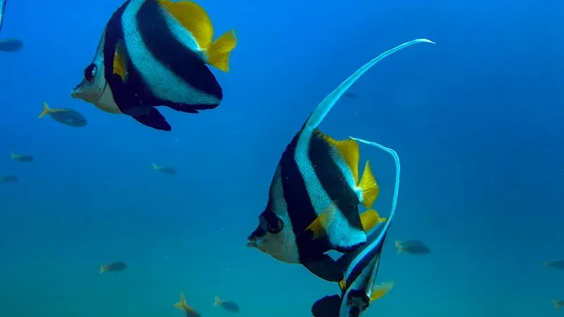 Explore Marine Trail