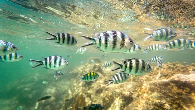 Mahatma Gandhi Marine National Park