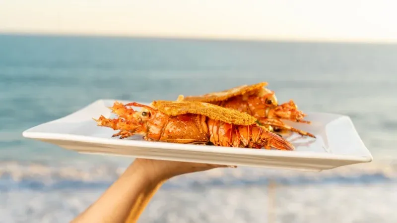 High Tide Restaurant 